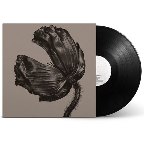 PSB_Release_1LP_Front_1000x1000