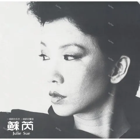 蘇芮_-_Julie_Sue-搭錯車__180g__限量_001