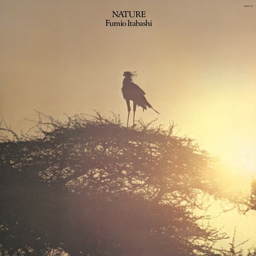 板橋文夫 - Nature 【日盤】 (黑膠唱片 LP) 封面