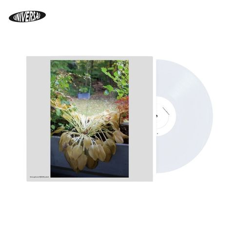 模板 - 2026-01-05T141515.342