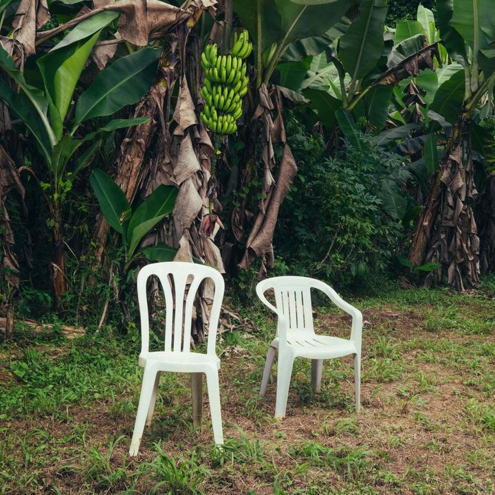 Bad Bunny - Debi Tirar Mas Fotos 【白色彩膠】 (黑膠唱片 2LP) 內頁 1