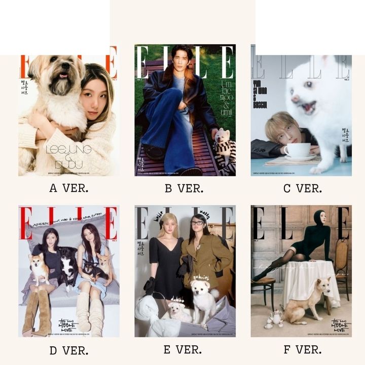 ELLE 2025 11月號 Vol.2 封面人物：Various Artis（韓國雜誌） 封面