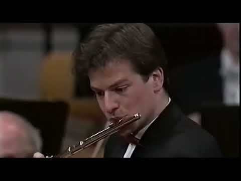 莫札特 Mozart：Concerto for Flute and Harp & Clarinet Concerto 【帕胡德｜莎賓梅耶｜柏林愛樂】（黑膠唱片 LP） 內頁 1