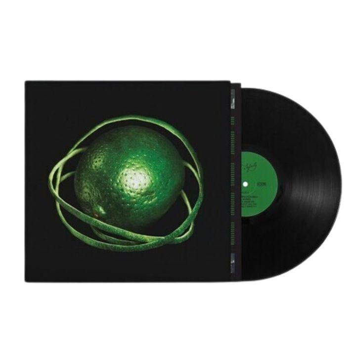 Big Thief - Double Infinity 【樂團曾 5 度獲葛萊美提名】（黑膠唱片 2LP） 封面