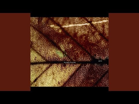 Pay money To my Pain - gene（完全生產限定盤｜黑膠唱片2LP） – CM Music