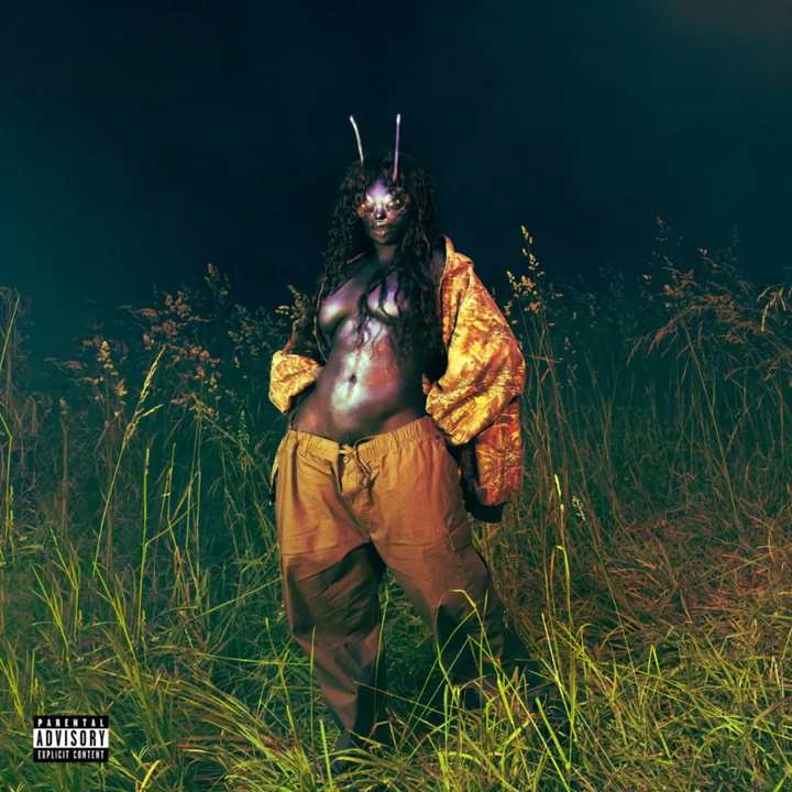 SZA - SOS Deluxe: Lana（2CD） 封面