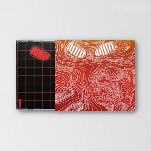 Vinyl - 2026-02-25T003622.001