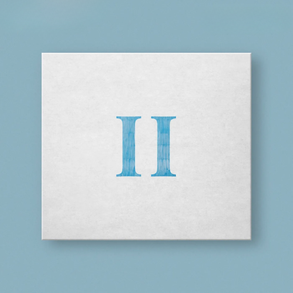 Vinyl - 2026-02-25T190540.488