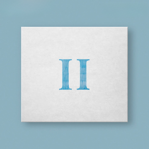 Vinyl - 2026-02-25T190540.488