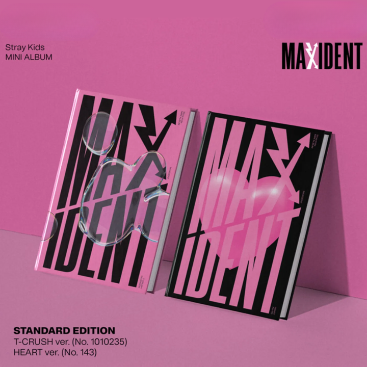Stray Kids - MAXIDENT（Photobook 版｜CD） 封面