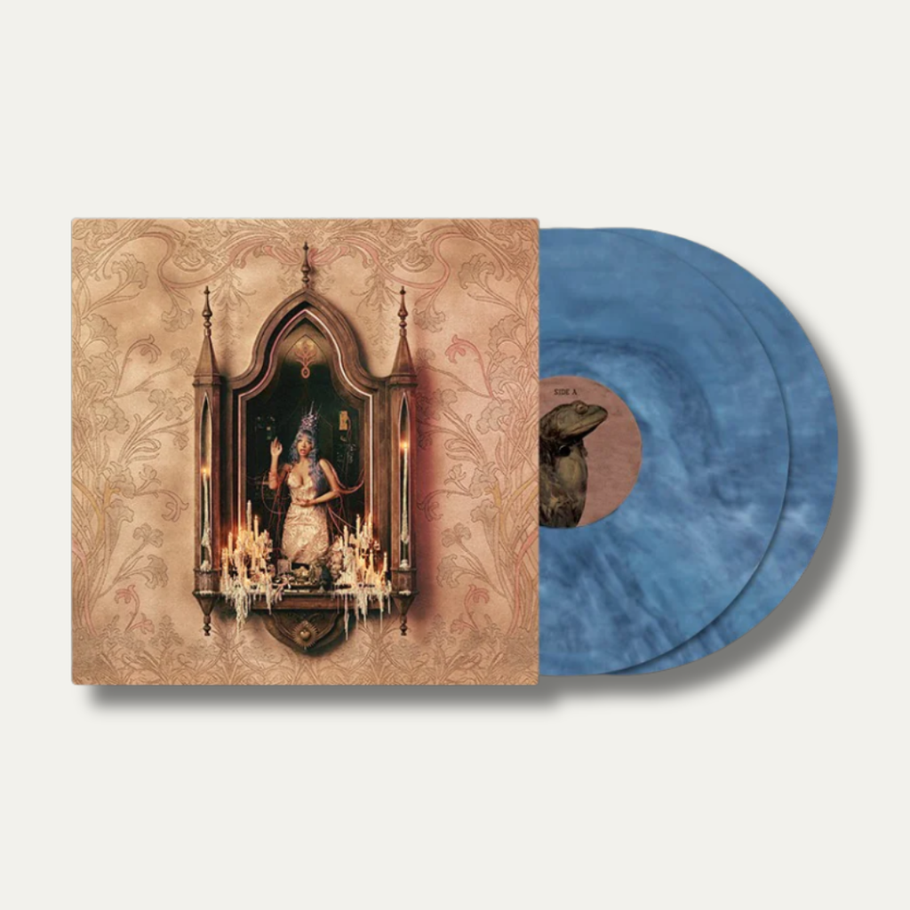 Vinyl - 2026-03-01T124305.392