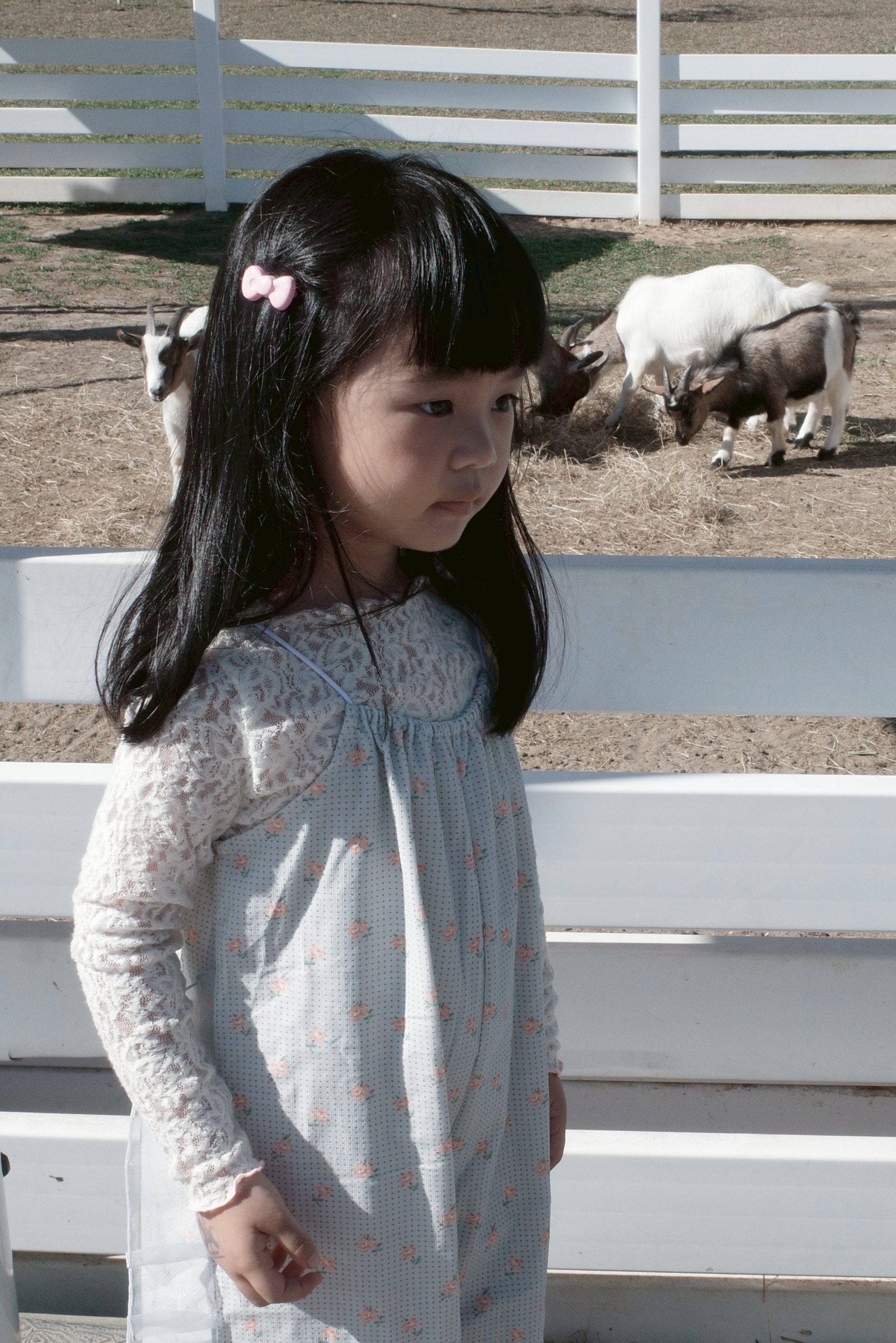 15BD257B-0027-42CB-AC6A-7700B71EE8F6