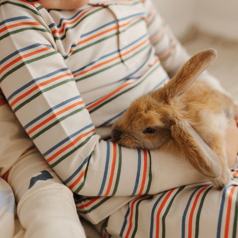 multi stripe pjs_2
