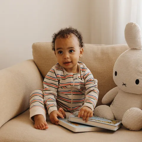 multi stripe zipsuit_1