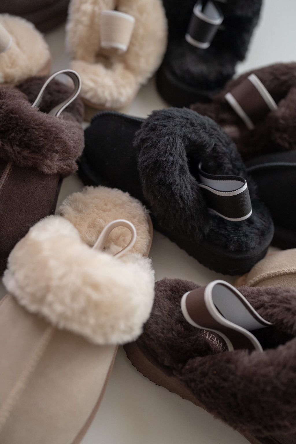 583710033_4691700617723993_8210373329056583377_n