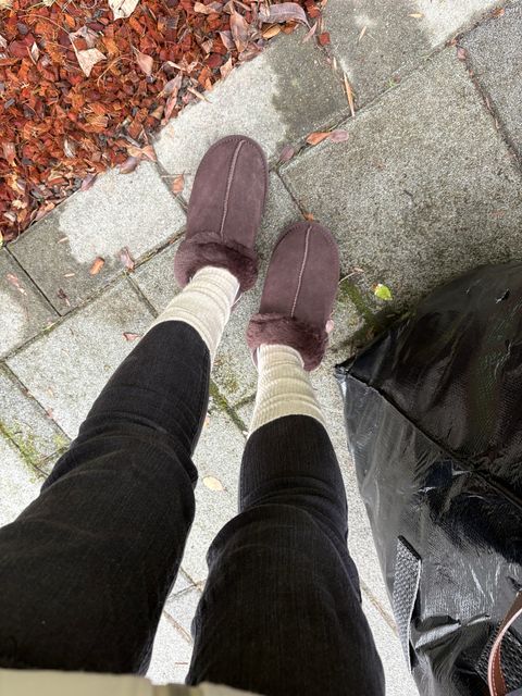 8107F57F-C1F9-48FE-8640-3AF99BDE6734