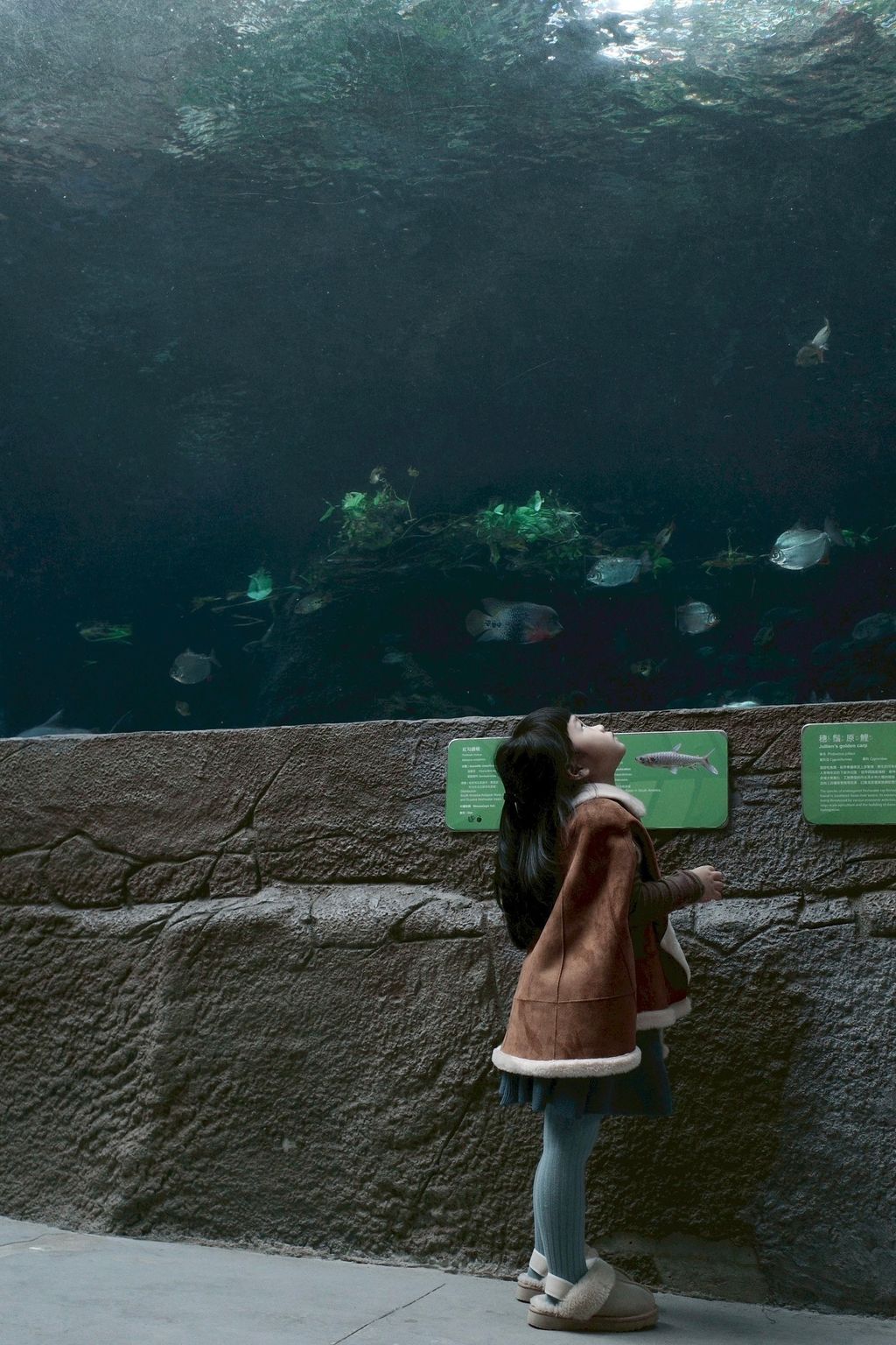 1332D64F-1019-453D-A1C5-3DEB5EA44865