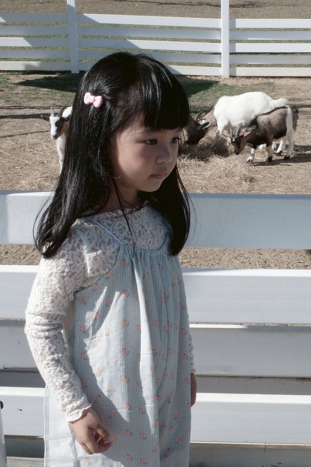 15BD257B-0027-42CB-AC6A-7700B71EE8F6