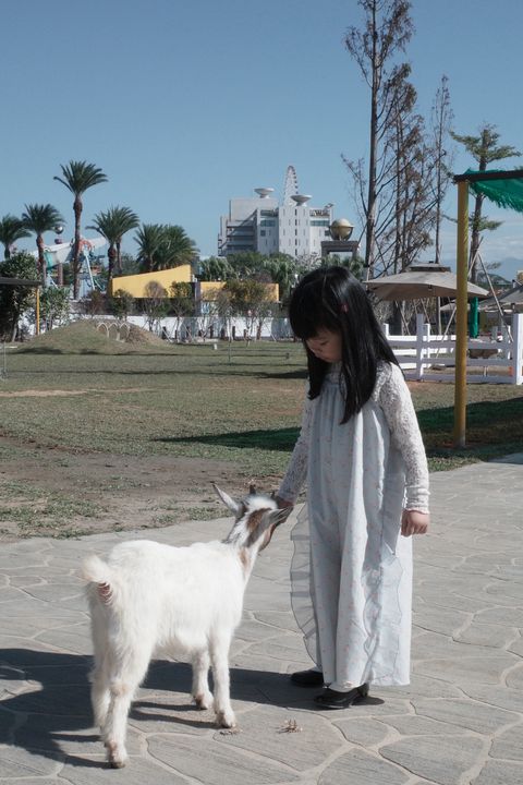 BAF8EDA1-B7DE-4F7C-8F70-49BE44080A37