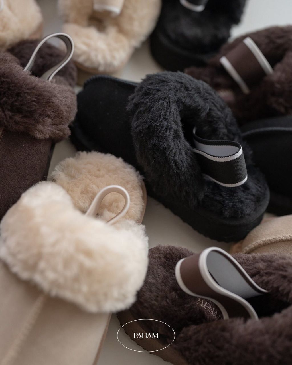 582052198_1539125790546720_91467103927950057_n