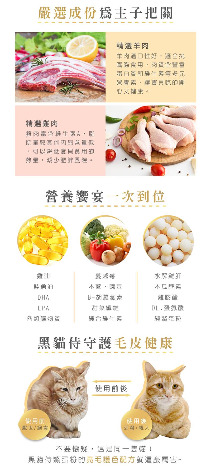 20231115_黑貓侍新素材(修改文字分割區域)-03