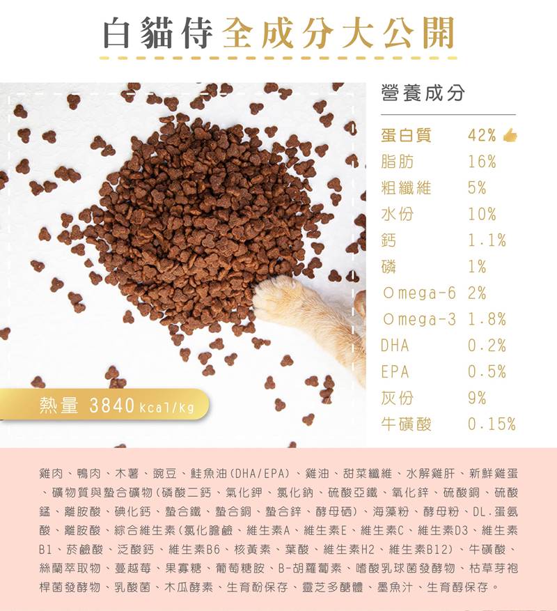 20231115_白貓侍新素材(分割區域)-06