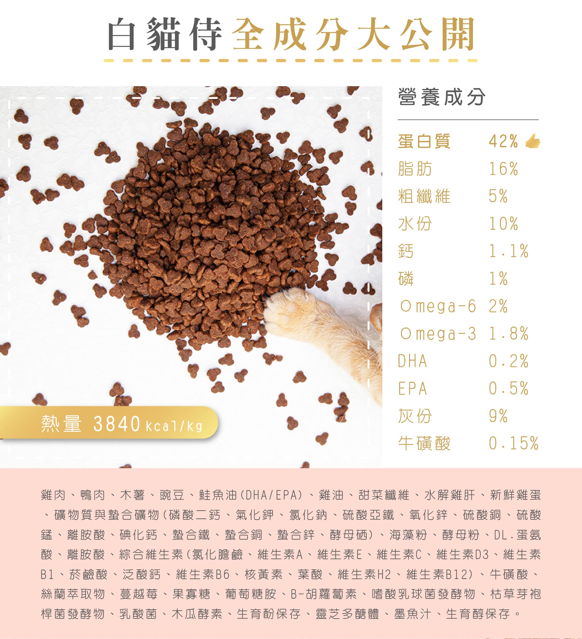20231115_白貓侍新素材(分割區域)-06
