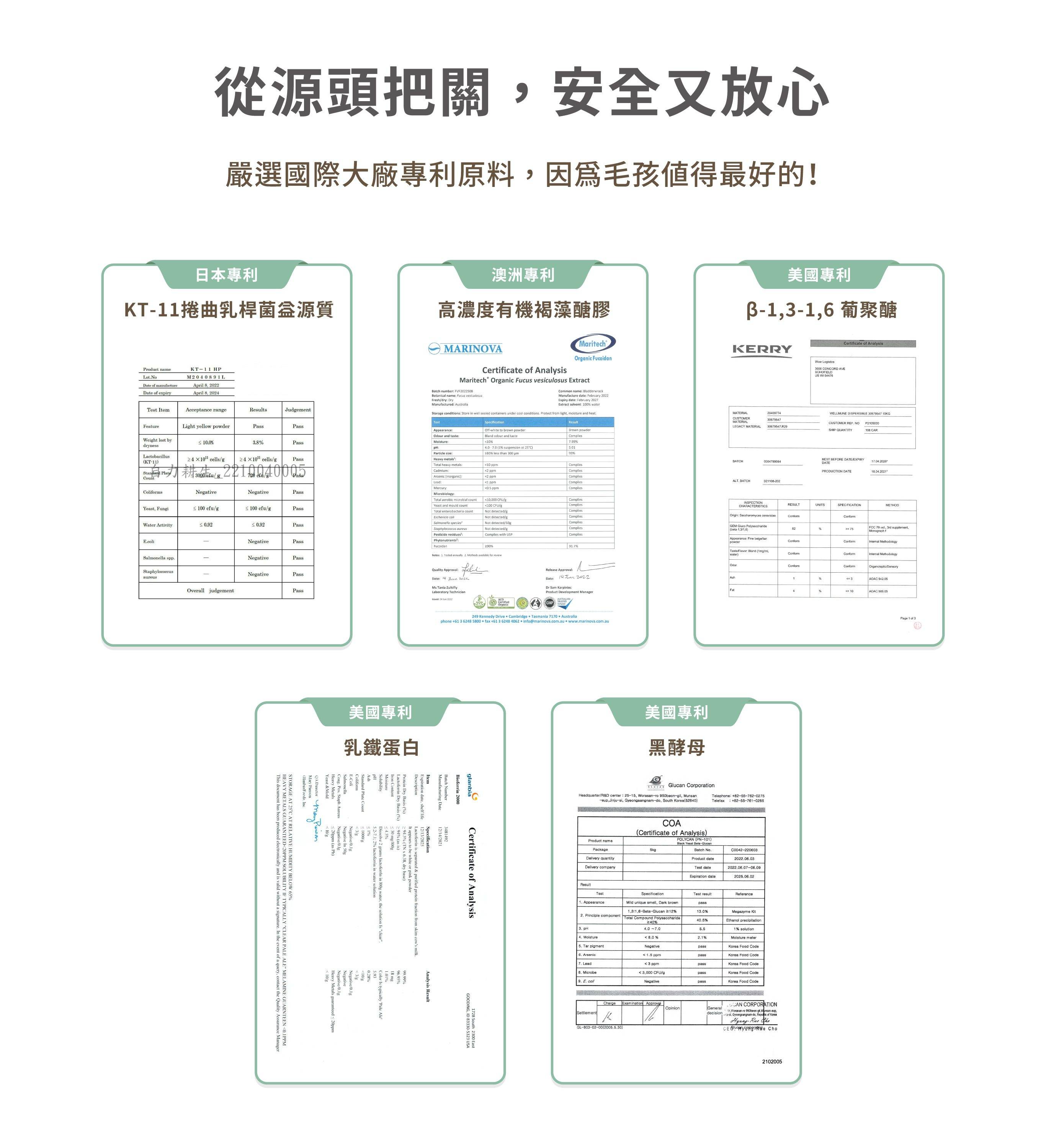 底-6