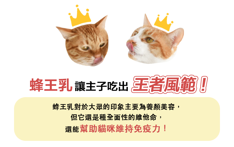 底-07