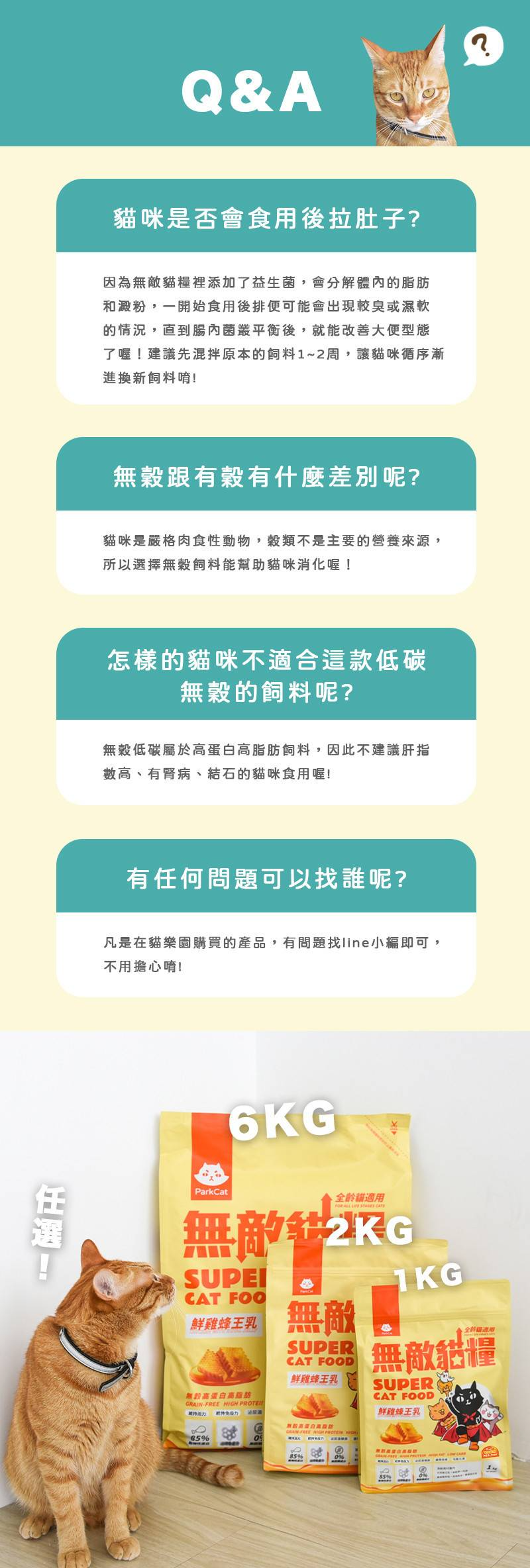 底-16