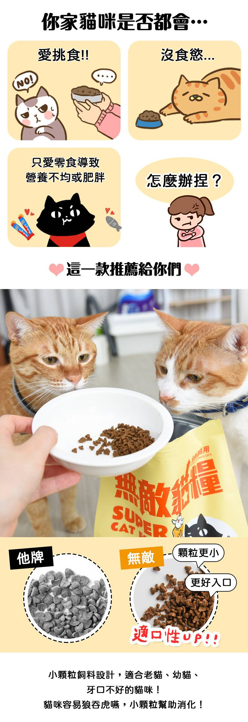 底-12