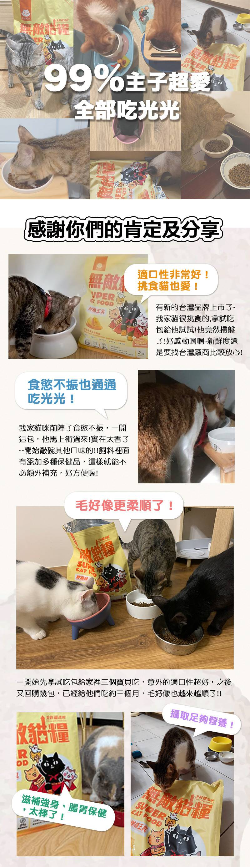 底-13