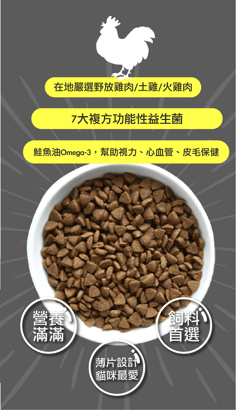 底-12