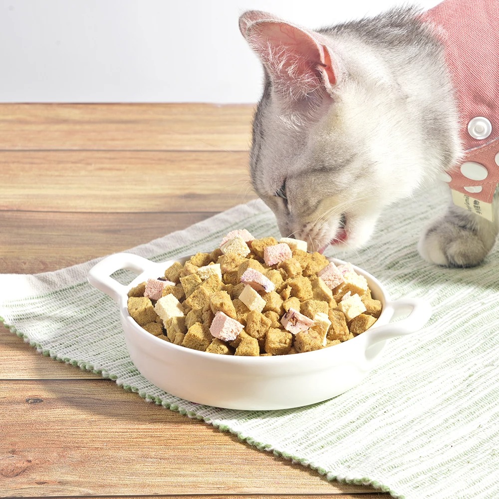 汪喵星球×馬修嚴選 機能優格丁-5