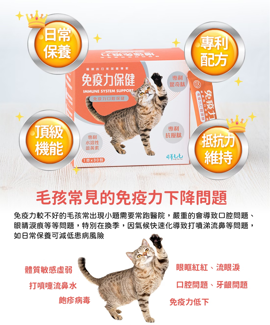 免疫力保健-1