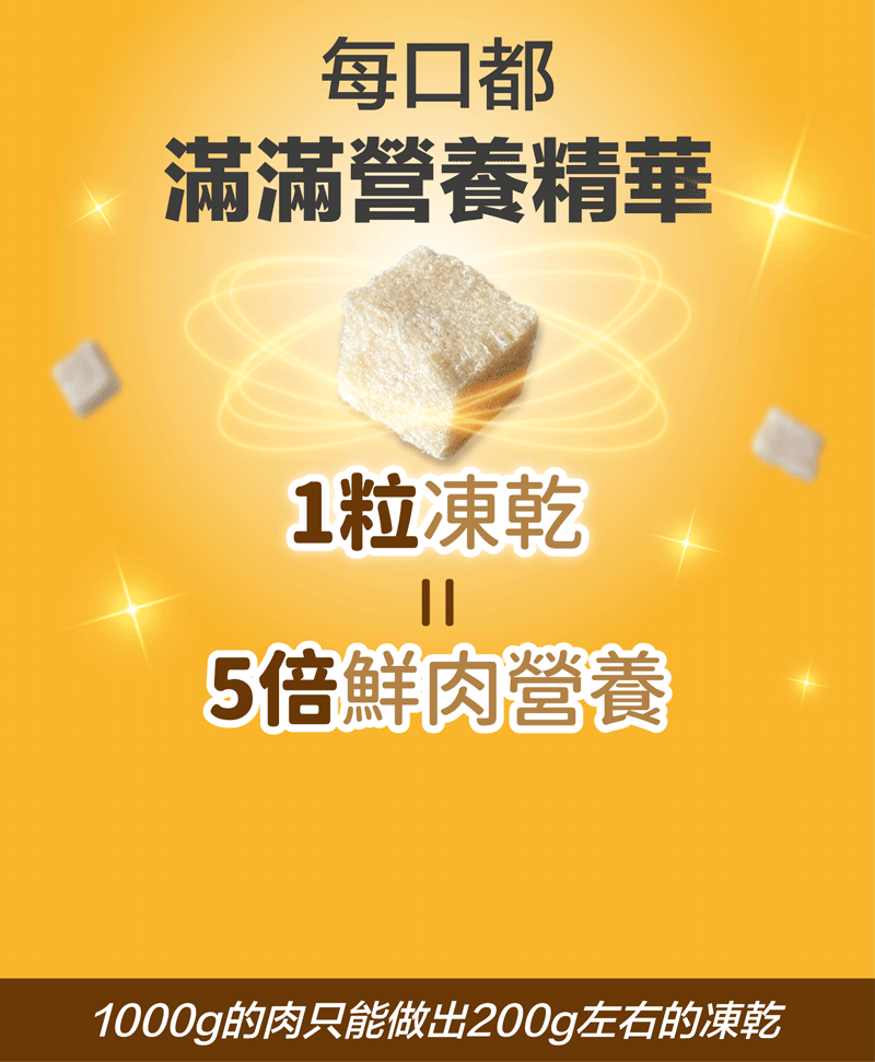 底-12