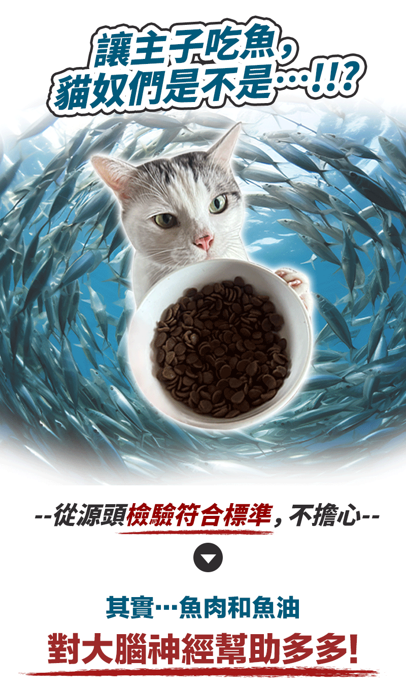底-08