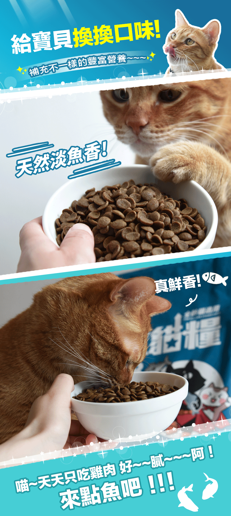 底-19