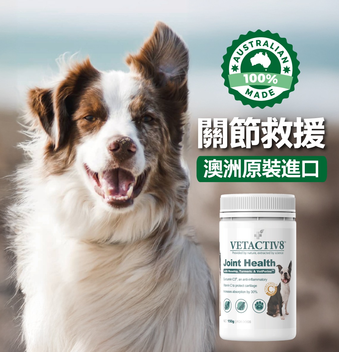 三效黃金關節適-2