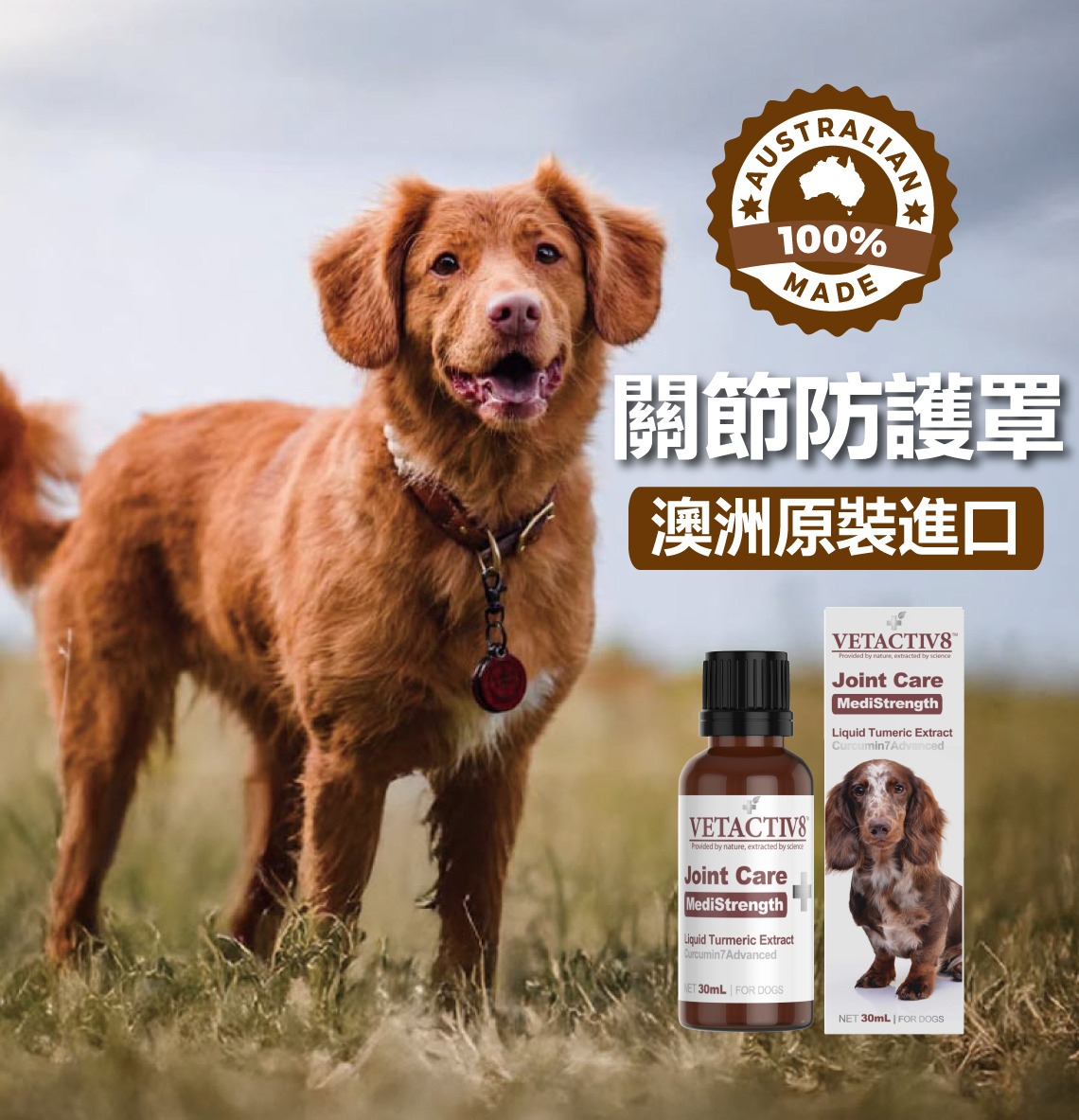 加強版關節薑黃飲-2
