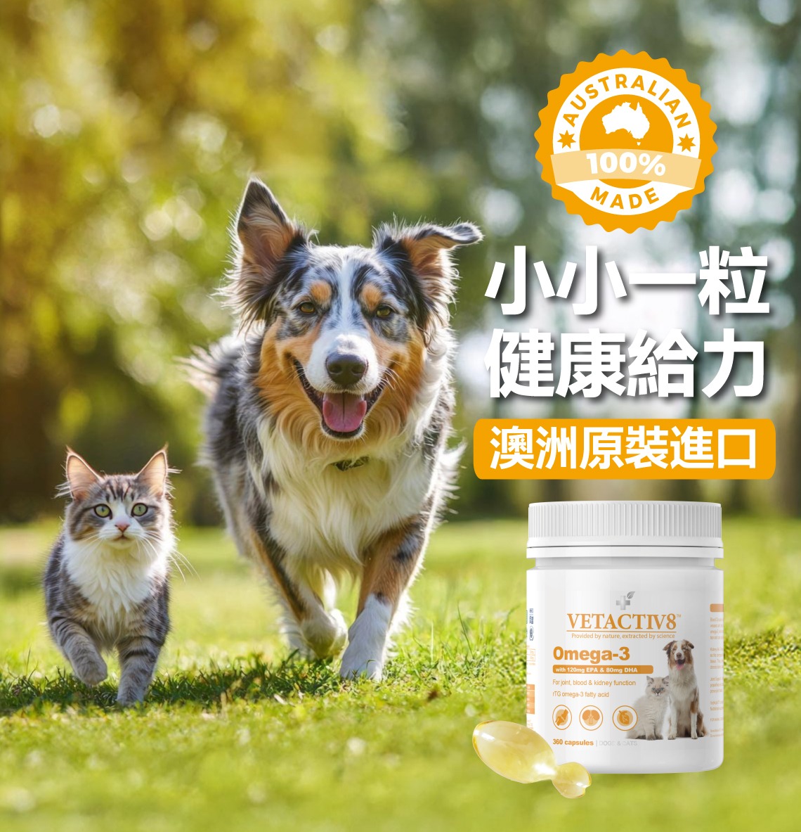 漁油