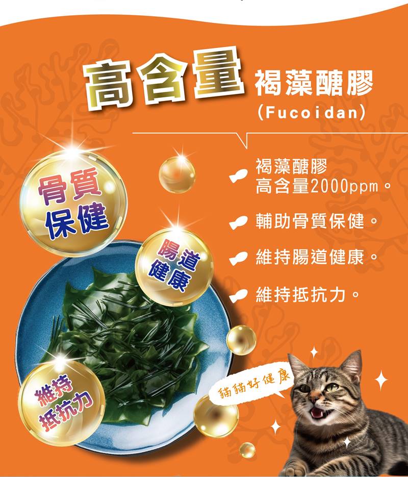 20231114-藍貓侍長條圖-02