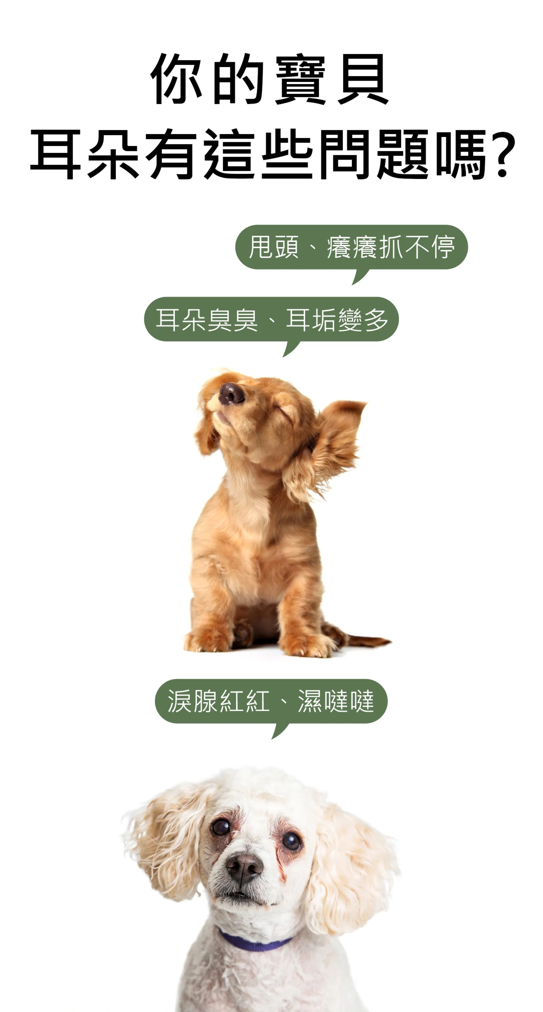 截圖-01