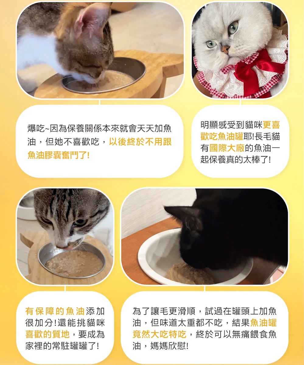 底-13