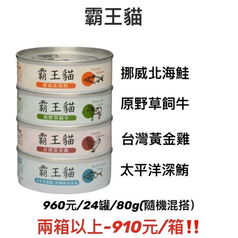 timeline_20220629_230030_0.jpg