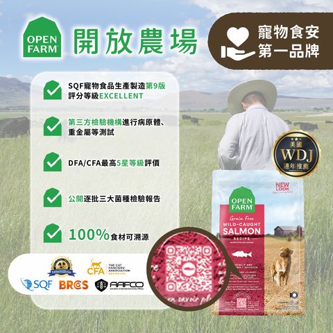 452387863_122201625332017546_2596869493900258258_n