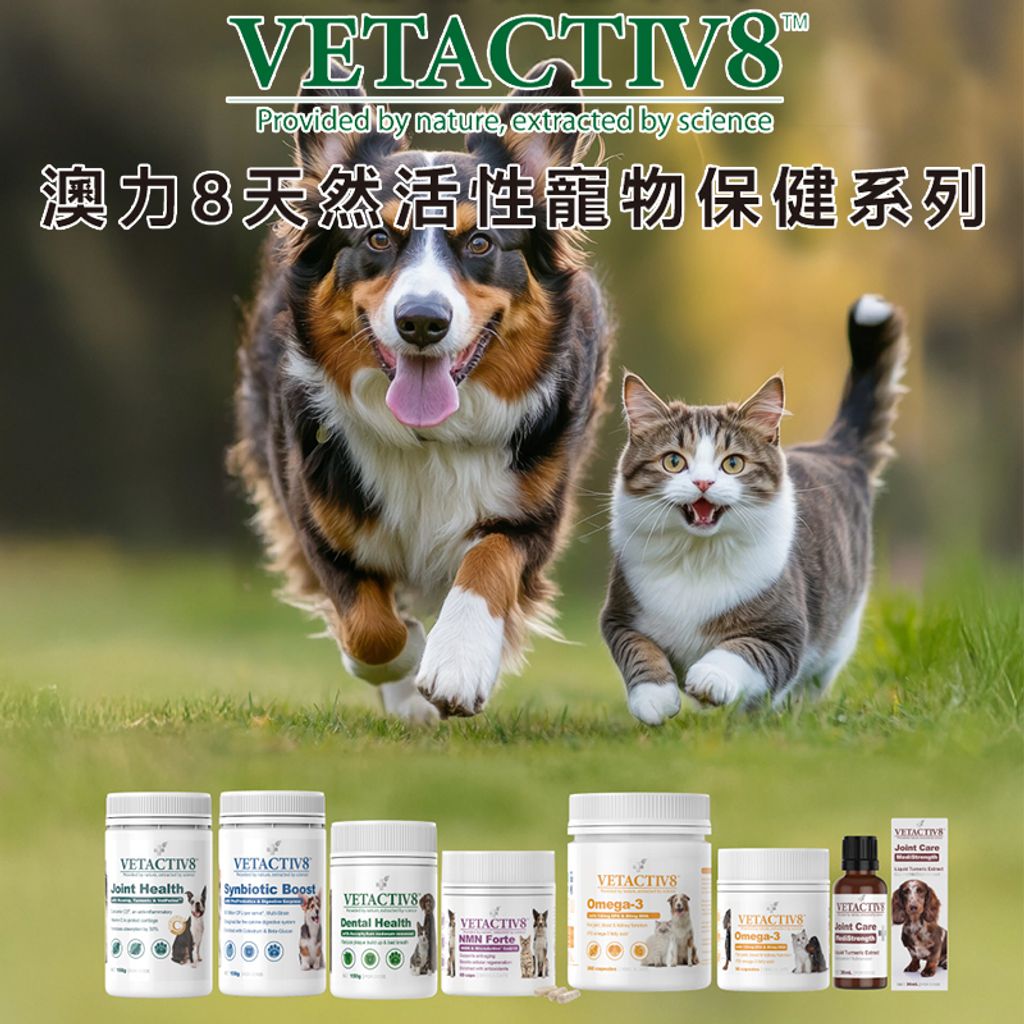 奧力8-2