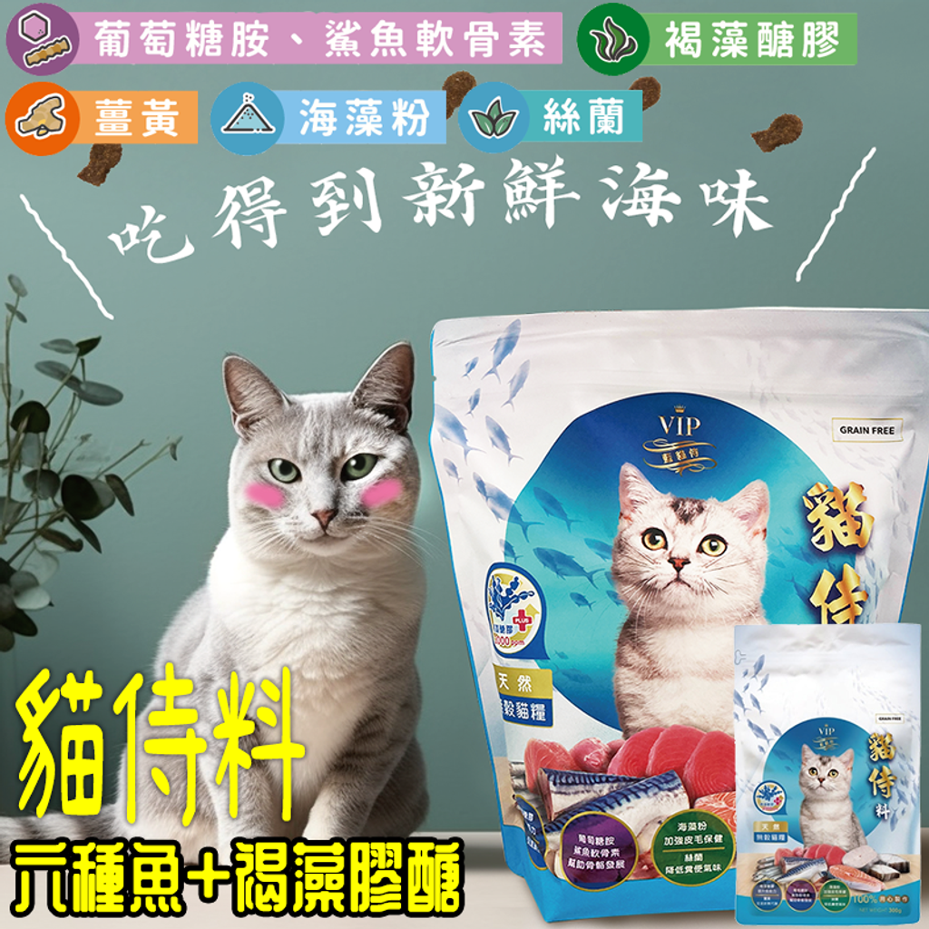 主圖-官網-2