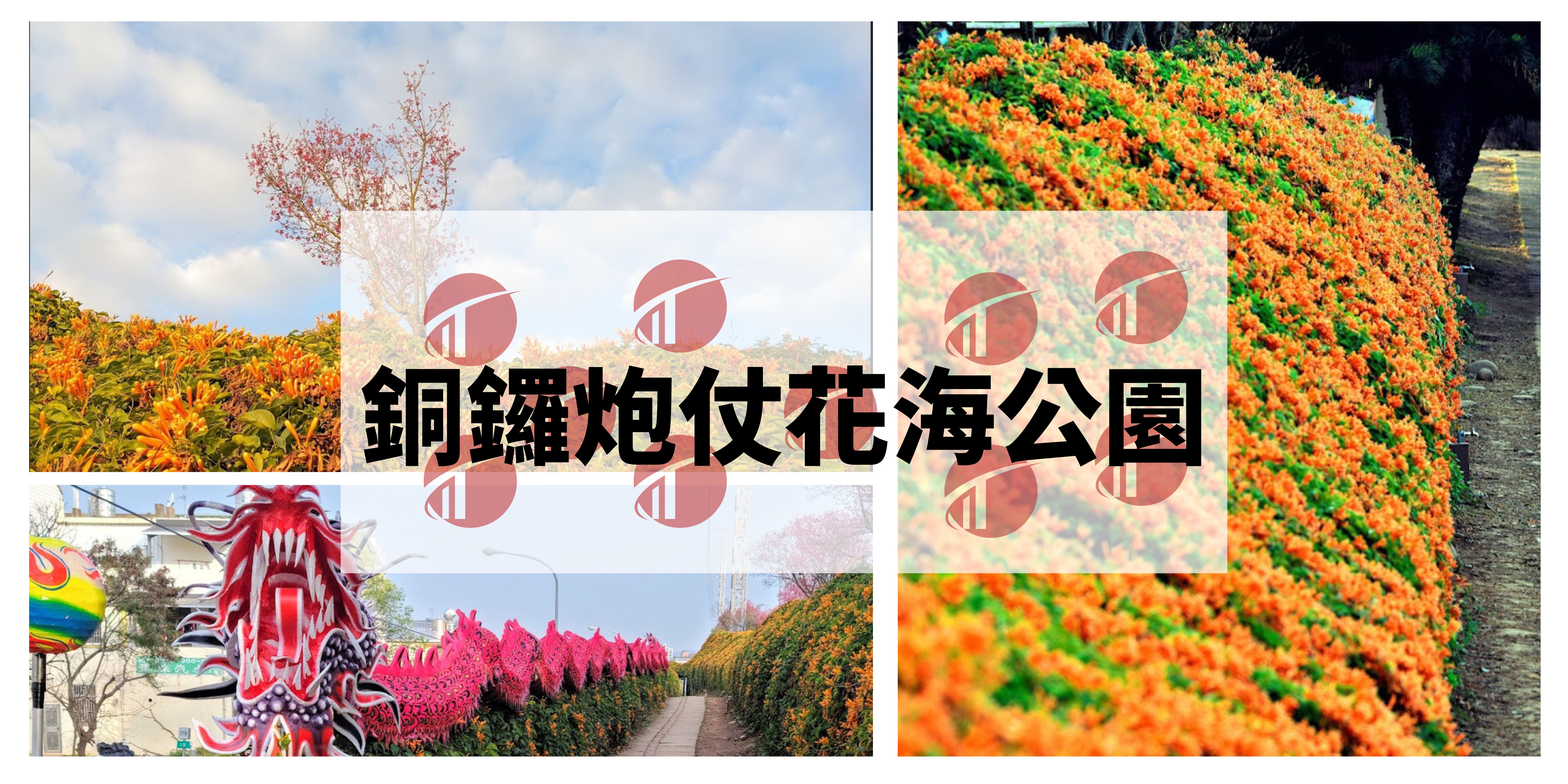 圖文2