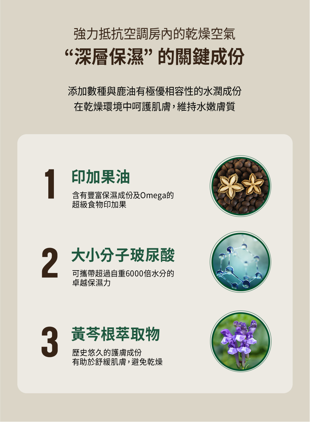 003-網頁切圖_鹿油精華-12